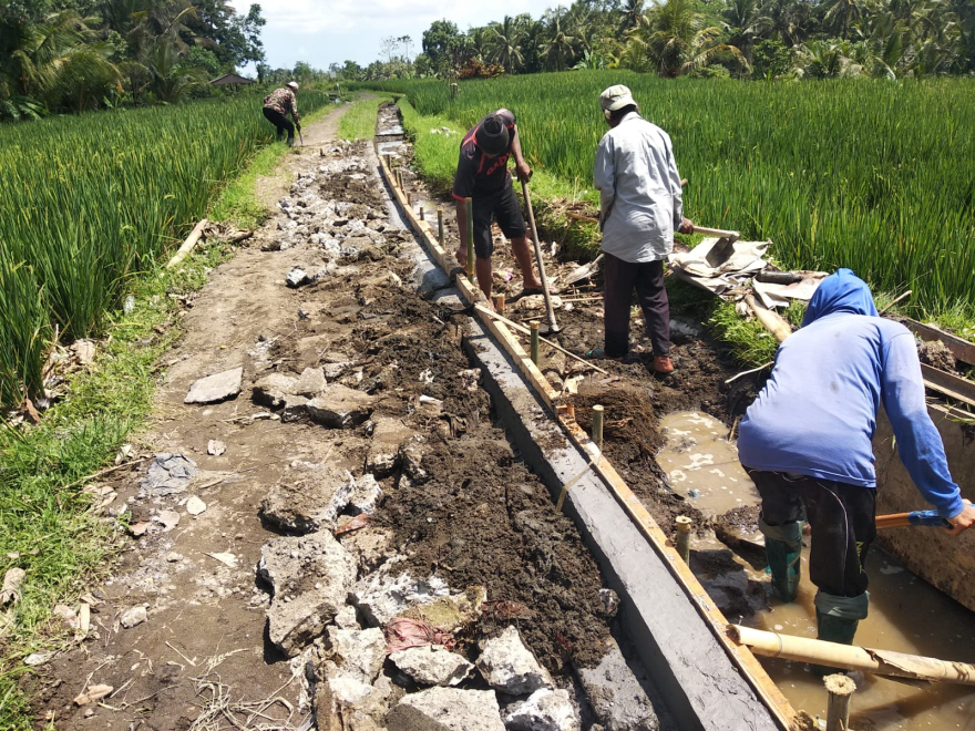 Kegiatan Pemeliharaan Senderan Badan Jalan dan Rabat Beton Jalan Usaha Tani Subak Gunggungan